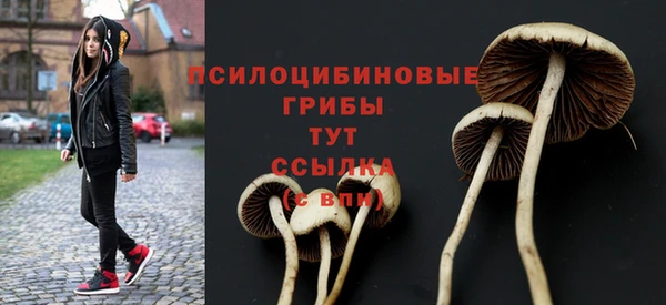 МДМА Кукмор