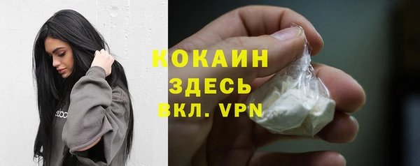 прущие крисы Кулебаки