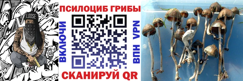 Псилоцибиновые грибы мицелий  Сорск 